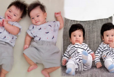 Ingin Mempunyai Anak Kembar? Berikut 10 Tips dan Teknik Mendapatkan Anak Kembar