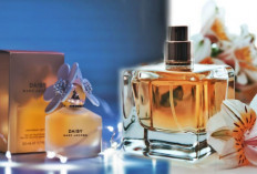 Top Aroma 10 Rekomendasi Parfum Murah yang Terjamin Kualitas Aromanya