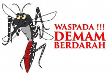 Dinkes Lubuk Linggau Mendata, Hingga 26 Mei 2025 sudah sebanyak 164 Kasus Penularan DBD