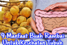 Inilah 9 Manfaat Buah Rambai Untuk Kesehatan,Yuk Simak Disini