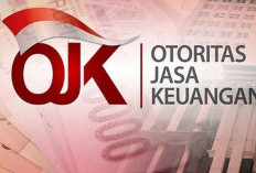 Pinjol dengan Kredit Macet Tinggi Masih Beroperasi? Ini Sorotan dan Desakan Terbaru untuk OJK