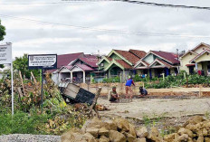 219 Koperasi Aktif di Lubuk Linggau, Jumlah Bertambah Signifikan 2026