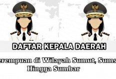 12 Kepala Daerah Perempuan Terpilih di Pilkada 2024 dari Wilayah Sumut, Sumsel hingga Sumbar