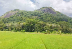 Kawasan Wisata Sekaligus Event Nasional Bukit Botak Bisa Menjadi Ide Kegiatan Daerah