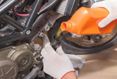 Ganti Oli Secara Rutin, Kunci Umur Panjang Mesin Sepeda Motor