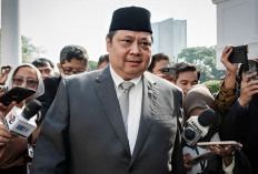 Airlangga Laporkan 3 KEK ke Presiden Prabowo, Ini Daftarnya