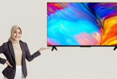 10 Smart TV 4K Terbaik 2024, Harga Murah Kualitas Super Mewah 