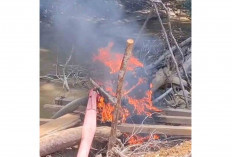 Polres Muratara Datangi Tiga Lokasi Tambang Emas Ilegal di Rawas Ulu Muratara, Ini yang Dilakukan