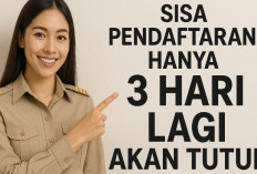 Sisa 3 Hari Lagi! Kesempatan Terakhir Daftar Sekolah Kedinasan 2025, Lulusan S1 Wajib Tahu