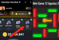 Update Terbaru Kunci Mini Game Hamster Kombat Hari Ini 12 Agustus 2024, Ikuti Polanya Dalam Waktu 30 Detik