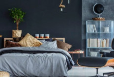 5 Inspirasi Warna Cat Dinding Kamar Tidur Pria yang Keren dan Bikin Nyaman