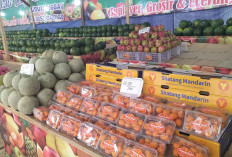 Manis dan Kaya Manfaat, Jeruk Shatang Mandarin Laris Diburu Saat Ramadhan di Jay Buah Lubuk Linggau
