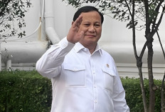 Kabar Gembira! Tenaga Honorer yang Diangkat Jadi PPPK, Presiden Prabowo Beri 7 Hadiah Spesial!