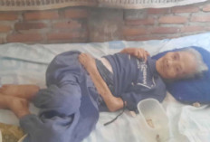 Nenek Zainab Lansia Lumpuh di Kelurahan Batu Urip Taba Berharap Uluran Tangan Pemerintah