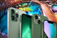 7 Kamera iPhone Terbaik 2024, Rekomendasi Bagi Sang Kreator Video