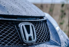 Ingin Satu Mobil untuk Semua? Ini Rekomendasi Mobil Bekas Honda untuk Anak Muda dan Orang Tua