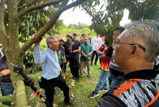 Belajar Pemeliharaan Pohon Durian Hingga ke Malaysia