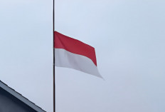 Pengibaran Bendera Setengah Tiang Apa Sih Artinya? Simak Arti dan Aturannya