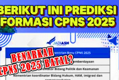 Benarkah CPNS 2025 Ditunda? Begini Kata Menpan RB Rini Widyantini  