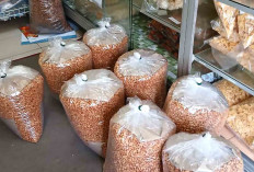 Warga Kalibening Sukses Bisnis Kacang Kribo, Berdayakan Tetangga Sekitar