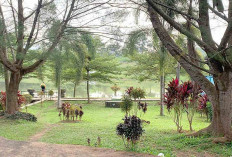 Danau Cewot Potensi Destinasi Wisata Tengah Kota Lubuk Linggau, Fasilitas Masih Minim