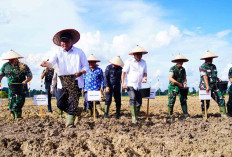 Gubernur Sumsel Ajak Semua Pihak Jaga Lingkungan dan Mencegah Alih Fungsi Lahan