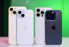 Update Terbaru Harga iPhone 15, 15 Plus, 15 Pro, dan 15 Pro Max di Bulan Juni 2024