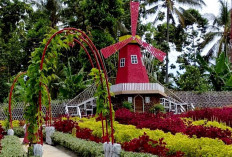 Umbul Helau : Memadukan Rekreasi Alam dan Edukasi untuk Keluarga