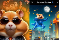 Semua Pemain Hamster Kombat Kecewa, Airdrop Musim Satu Hamster Kombat Tidak Jelas Kenapa?