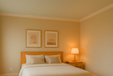 8 Pilihan Warna Cat Plafon Rumah Populer 2025 Referensi Keceriaan dan Kenyamanan 