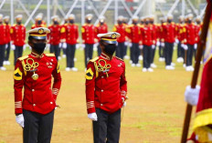 CPNS Jalur Sekolah Kedinasan STIN 2025 Dibuka, Segini Kuota Formasi dan Persyaratan Pendaftaran