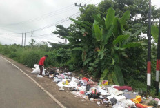 Lubuk Linggau Kota Terbesar Kedua Tapi Banyak Tempat Pembuangan Sampah Liar