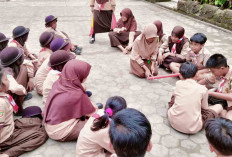 Ekskul Pramuka Bikin Pelajar SDN 43 Lubuk Linggau Terbiasa Disiplin