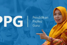 Catat! 5 Syarat Utama Ikut Program PPG untuk Sertifikasi Guru 2024