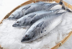 5 Manfaat Dari Mengkonsumsi Ikan Tongkol, Dipercaya Dapat Mencegah Penyakit Jantung 