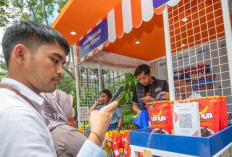 UMKM Keripik Pisang Berkembang Pesat Dengan Adanya Pemberdayaan BRI