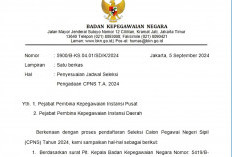 Catat! Ini Jadwal Terbaru CPNS 2024, Buruan Daftar di sscasn.bkn.go.id