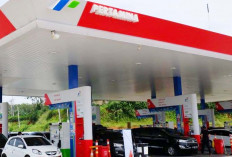 Pertamax dan Dex Ada Penyesuaian Harga Mei 2025, Lumayan Turun Harga Dapat Tambahan Cashback
