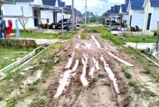 Dari 17 Perkara Paling Banyak Sengketa Perumahan dan Lembaga Pembiayaan