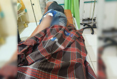 Sopir Angkutan Batu Bara Ditembak OTD