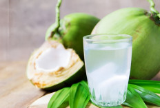 5 Orang Ini Wajib Minum Air Kelapa Kenapa? Ini Penjelasannya