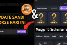 Sandi Harian dan Combo Harian Hamster Kombat Hari Ini Minggu 15 September 2024