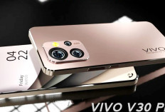 Handphone Terbaru 2024 Vivo V30 dan Vivo V30 Pro Mana yang Lebih Baik