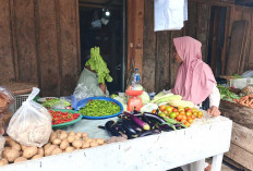 Harga Sayuran Masih Tinggi di Musi Rawas, Ini Penyebabnya
