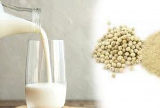 Nyesal Baru Tahu, Susu Dicampur Sahang Bermanfaat Buat Alat Vital Makin Luar Biasa