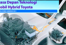 Toyota Mobil Hybrid Terbaru Mei 2025, Daftar Harga dengan Keunggulan Kelebihan Teknologi  