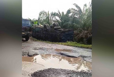Jalan Nasional Musi Rawas - Muba Banyak Berlubang Seperti Kubangan Kerbau