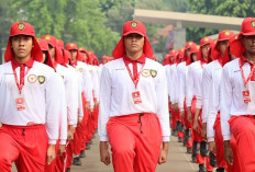 Diperkira Segini Gaji Paskibraka Nasional Provinsi dan Kabupaten 2024