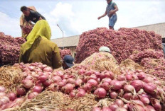 Harga Bawang Merah Turun 15,24 persen Sebabkan Deflasi di Lubuk Linggau Periode Agustus