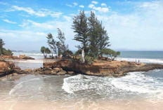 Unik, Pantai ini Disebut Surganya Kota Bengkulu